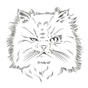 Persian Cat